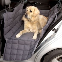 Doctor Bark 2-Car-Seat blanket